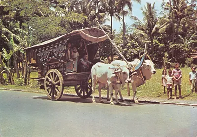 Gero bag — véhicule traditionnel de Java central — imprimé par Kanisius Indonesie