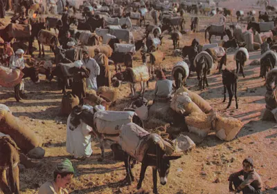Marché animé — scène de souk avec ânes chargés — éditeur DIFIKOT sarl, n° 623