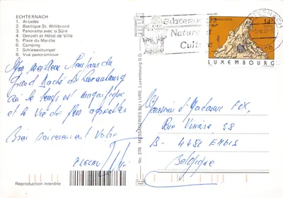 Echternach — vue panoramique avec édifice religieux, pont, cascade et campement — éditeur Messageries du Livre, n° 276 — पीछे