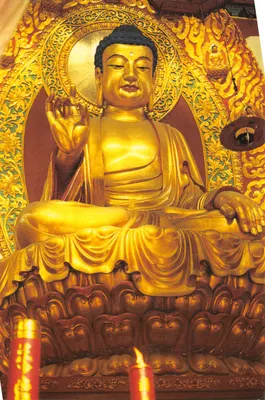 Statue de Sakyamuni — Bouddha assis doré dans un cadre orné — éditeur inconnu, n° de série non visible