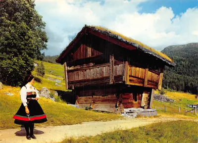 Femme en costume national près d'un entrepôt sur pilotis à Setesdal — Éditeur : Aune Kunstforlag AS, n° F-3806-8
