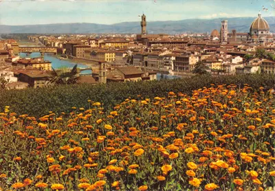 Florence — vue panoramique avec fleurs d'oranger en premier plan — éditeur Inocenti Editor, Firenze, n°348