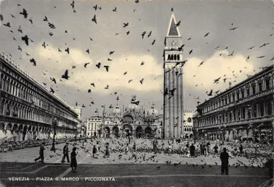 Venezia – Piazza S. Marco – Piccionata — vue avec pigeons et campanile