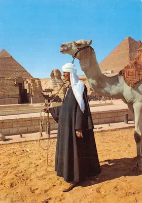 Gizeh - Le Sphinx et les Pyramides — éditeur : Dar Al-Nizam, série 0146