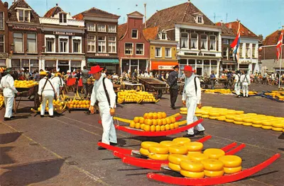 Marché du fromage d'Alkmaar — Alkmaar — éditeur Steeuwijk, n° 404