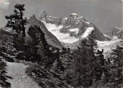 Zermatt, am Weg — vue des Riffelalp-Findelengletscher, Gabelhörner, Wellenkuppe, Trifthorn — éditeur Gyger & Klopfenstein, n°2/15132