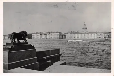 Lion de la place Universitaire — vue sur le fleuve avec bateau — éditeur Госфотокомбинат «Ленфотохудожник»
