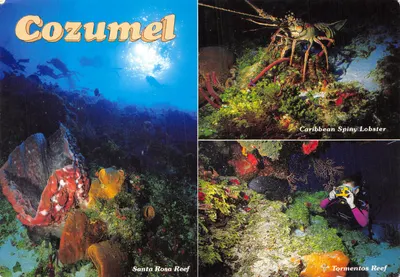 Cozumel — plongée sous-marine aux récifs de Santa Rosa et Tormentos — Éditeur: Editora Rukulcan