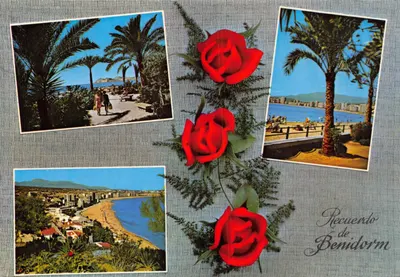 Benidorm — vue panoramique et plages — éditeur Foto Rueck, n° 132