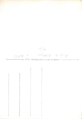 Norvège. Stigfjellveien avec "Bispen" et "Kongen" — éditeur Enerett Eberh. B. Oppi, n° 2044/8 — पीछे