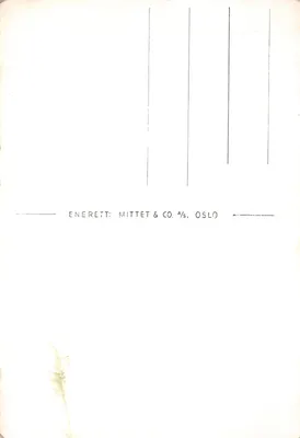 Trondheim — vue aérienne depuis Mittet — éditeur Mittet, n° S. 340 — पीछे