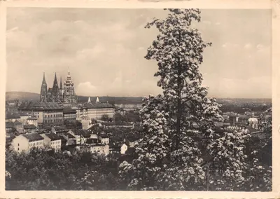 Vue de Prague — Cathédrale Saint-Vitus et palais royal — éditeur FOTO J. ŠVLC, n° 1015