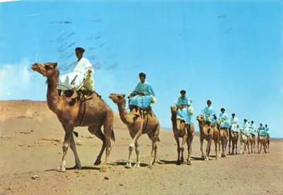 Goulimine — Hommes bleus du Sud — DIFIKOT s.a.r.l