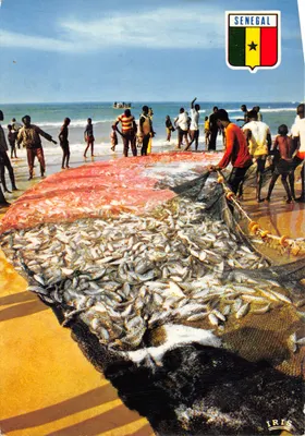 Pêche à Cayar — Sénégal — éditeur IRIS