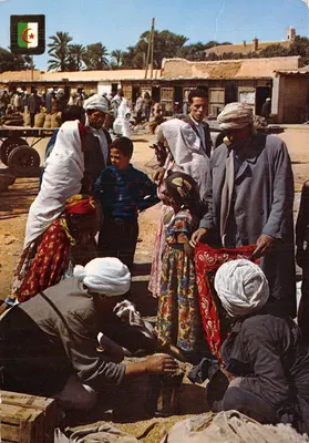 Marché à Ahemis-Tiliana — scène de vie quotidienne avec femmes voilées et hommes en turbans — Les nouvelles éditions - ALGER, N°1