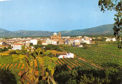 Jalon (Alicante) — vue panoramique avec édifice religieux et vignobles — IMPRIMÉ SUR LA CARTE N.º 11