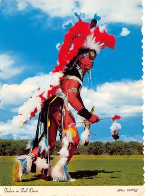 Indien en costume d'apparat prêt à la danse de guerre — Photo: JPC