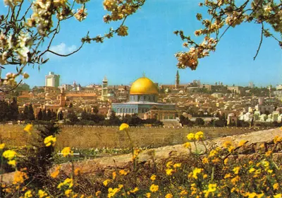 Jérusalem — vue de la vieille ville depuis le mont des Oliviers — éditeur PALPHOT, n° 3524
