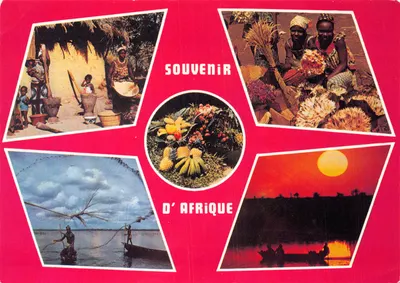Afrique — Souvenir d'Afrique — éditeur IRS-EXPORT, n° 8330