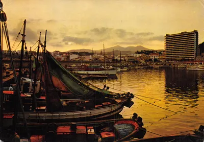 Port de Puerto de la Cruz — vue du port avec bateaux de pêche et bâtiment moderne — éditeur ARENYS DE MAR n° 447