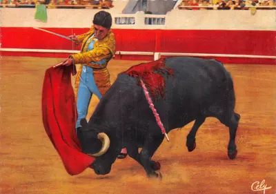Torero — scène de corrida — éditeur CELY