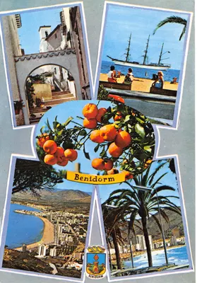 Benidorm — vue panoramique, oranges, plage et bateau — éditeur Foto Rueck, n° 133