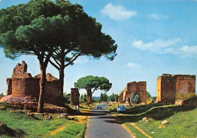Rome — Ruines de la Via Appia Antica avec pins et voitures — éditeur PLURIGRAF TERNI, n° 234