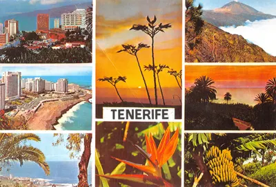 Tenerife — paysages et fleurs — Éditions Gasteiz