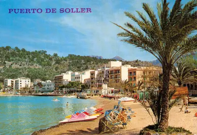 Puerto de Soller — vue du port et de la plage avec palmiers — éditeur Flor de Almendro, n° 3.101