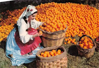 Femme en costume sicilien — cueillette d'oranges — éditeur Milano Dep, n° CSI 17/39