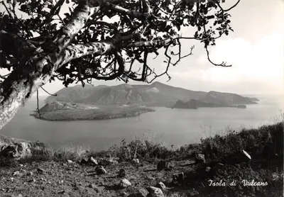 Isola di Vulcano — vue depuis un promontoire avec arbre en premier plan — Ediz. G. Belletti - Ag. Giornali - Lipari