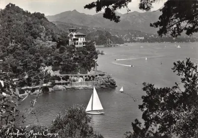 Portofino - Punta Cayega — vue sur la mer avec voiliers et villa, éditeur Ediz. Olivari G. n°34