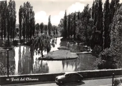 Fonti del Clitunno — vue du parc avec un canal et un arbre saule, éditeur FOTO STAMPA ANGELI - TERNI, n° 38