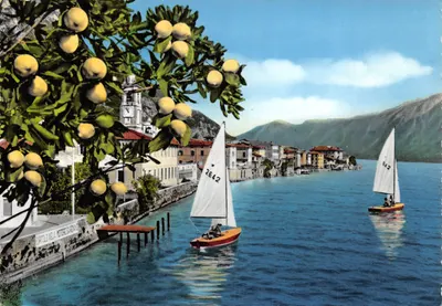 Lago di Garda - Gargnano — vue du lac avec voiliers et cité au bord de l'eau — éditeur A. Preda, Milan