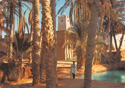 Oasis du Sud Tunisien — vue d'un jardin avec palmeraie et minaret — éditeur Couleurs naturelles