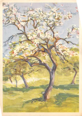 Arbre en fleurs — peinture d'été — éditeur SEMAINE SUISSE, n° 5