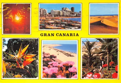 Gran Canaria — paysage côtier, dunes et fleurs — éditeur Miguel Díaz, n° 1.233