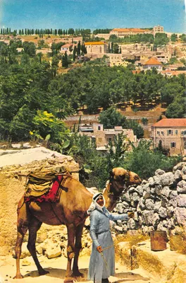 Vue partielle de Nazareth — berger avec chameau — éditeur 'Israël' n°507