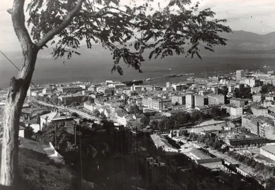 Vue panoramique de Rijeka — éditeur D. Griesbach, n° 13022