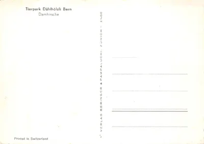 Forêts de Bern – Damhirsches — éditeur VERLAG BERINGER & PAMPALUCHI ZÜRICH — पीछे