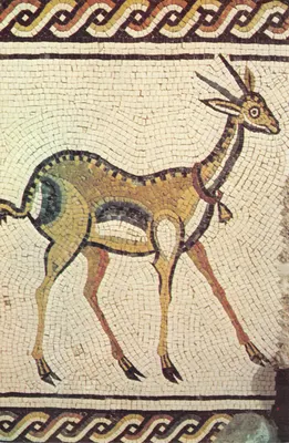 Gazelle — Mosaïque de la chapelle de Théotocos — Éditeur : Ed. Franciscan Printing Press Milano