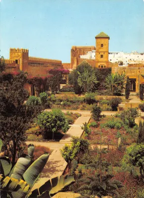 Jardin des Oudayas — Rabat — éditeur SochePress, n° 901 007