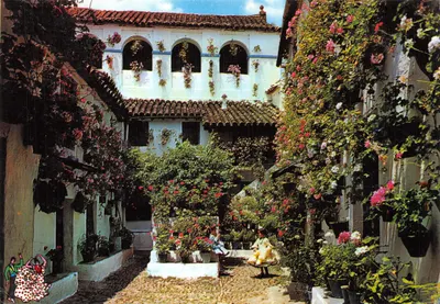 Patio andalou typique — Seville — éditeur non visible