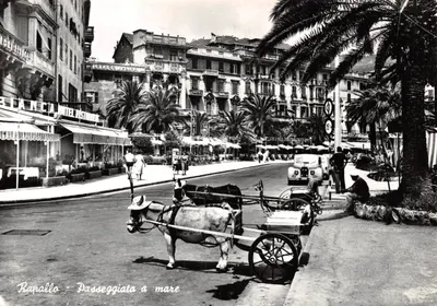 Rapallo — Promenade à la mer — Hotel Rapallo et restaurant Rancia, éditeur BROMOSTAMPA-MILANO n°2261