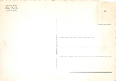 Golfo Tigullio — vue panoramique depuis un promontoire avec pin en premier plan — éditeur Tigullio Gulf, n° 452 — पीछे