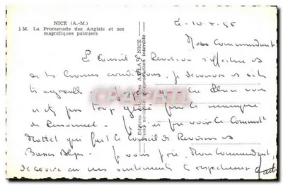 Nice (A.M.) — La Promenade des Anglais e i suoi magnifici palme — Edizioni A.M.A. di Nice — Verso