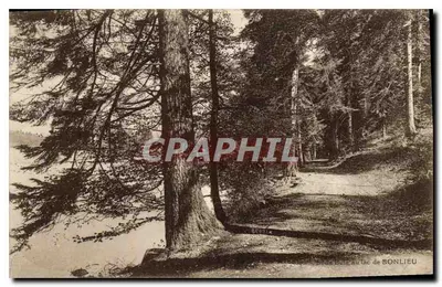 Madeira no lago de Bonlieu — vista florestal — editor não identificado, número de série não visível