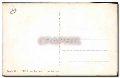 Ogród kwitnący — Kobieta z Nicei — CAP. 8 — Nice, Rue Intellier, Paris — Rewers