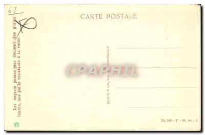 Riquewihr — Le Dolder — publisher Braun & Cie, printer Mülhouse-Dornach, n° 268 — Back