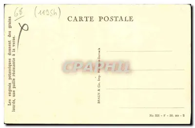 Riquewihr — The Dolder — publisher Braun & Cie, printer Mulhouse-Dorrach, n° 321 — Back